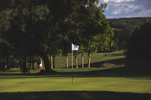 Hur nära flaggan kommer proffsen